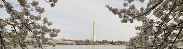 Washington Monument